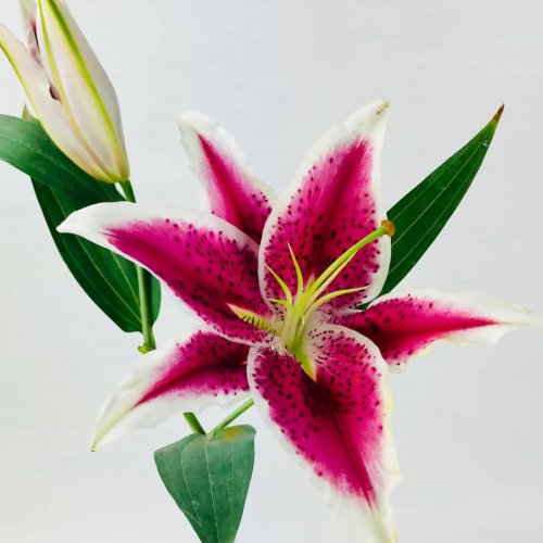 User profile photo