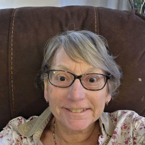 User profile photo