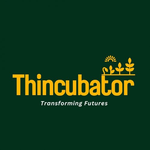 thincubator llp