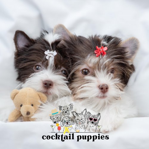 cocktail puppies logo