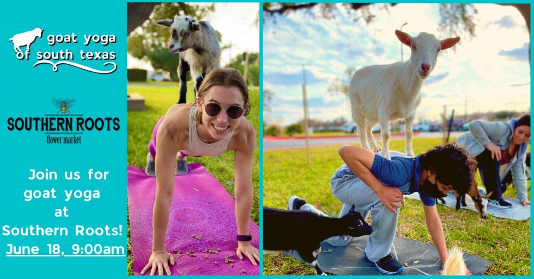 Goat Yoga at Southern Roots Flower Market!, Southern Roots Flower