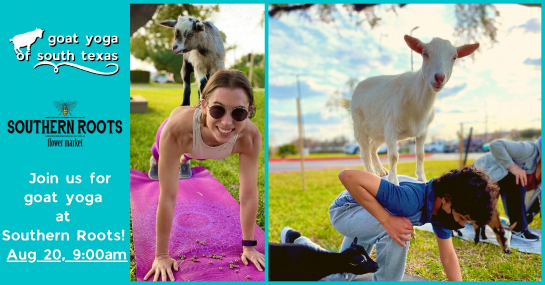 Goat Yoga at Southern Roots Flower Market!, Southern Roots Flower