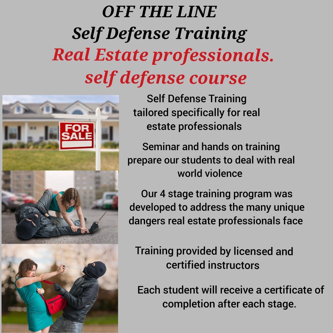 Real estate professionals self defense level 1, Lux real estate group