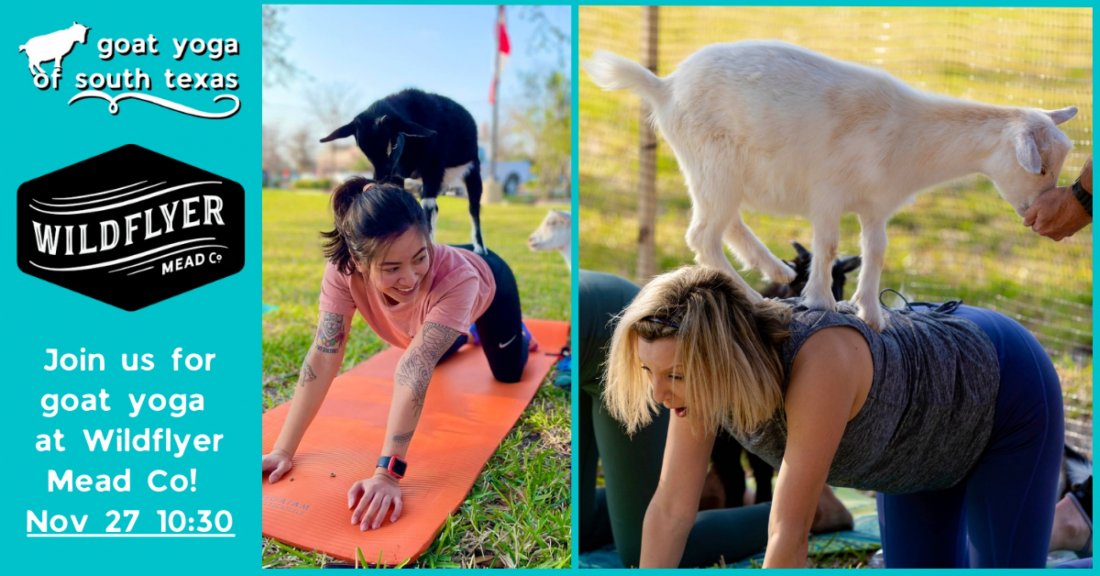 Goat Yoga at Wildflyer Mead Company!, Wildflyer Mead Company, Navasota