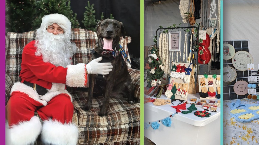 Free Family and Pet Photos With Santa Sun Dec 11, Golden Acre Home