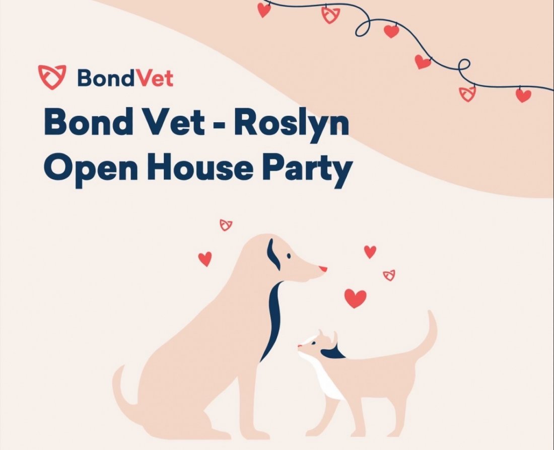 Bond Vet Roslyn Open House Party , Bond Vet Roslyn , 29 January