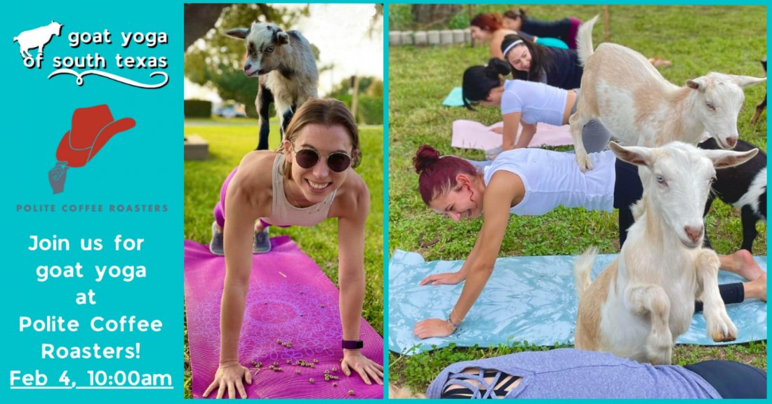 Goat Yoga at Polite Coffee Roasters! , Polite Coffee Roasters, Bryan, 4