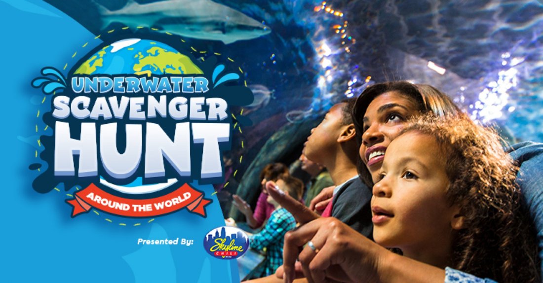 AllNew Underwater Scavenger Hunt at Newport Aquarium, Newport Aquarium