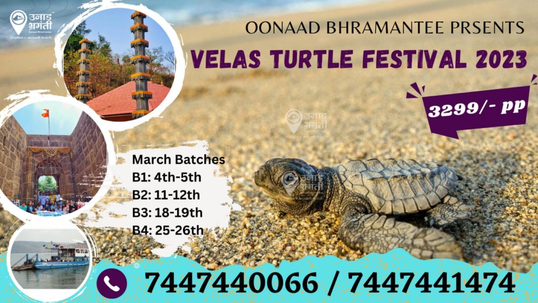Velas Turtle Festival with Oonaad Bhramantee, R Deccan Mall, Pune, 4 ...