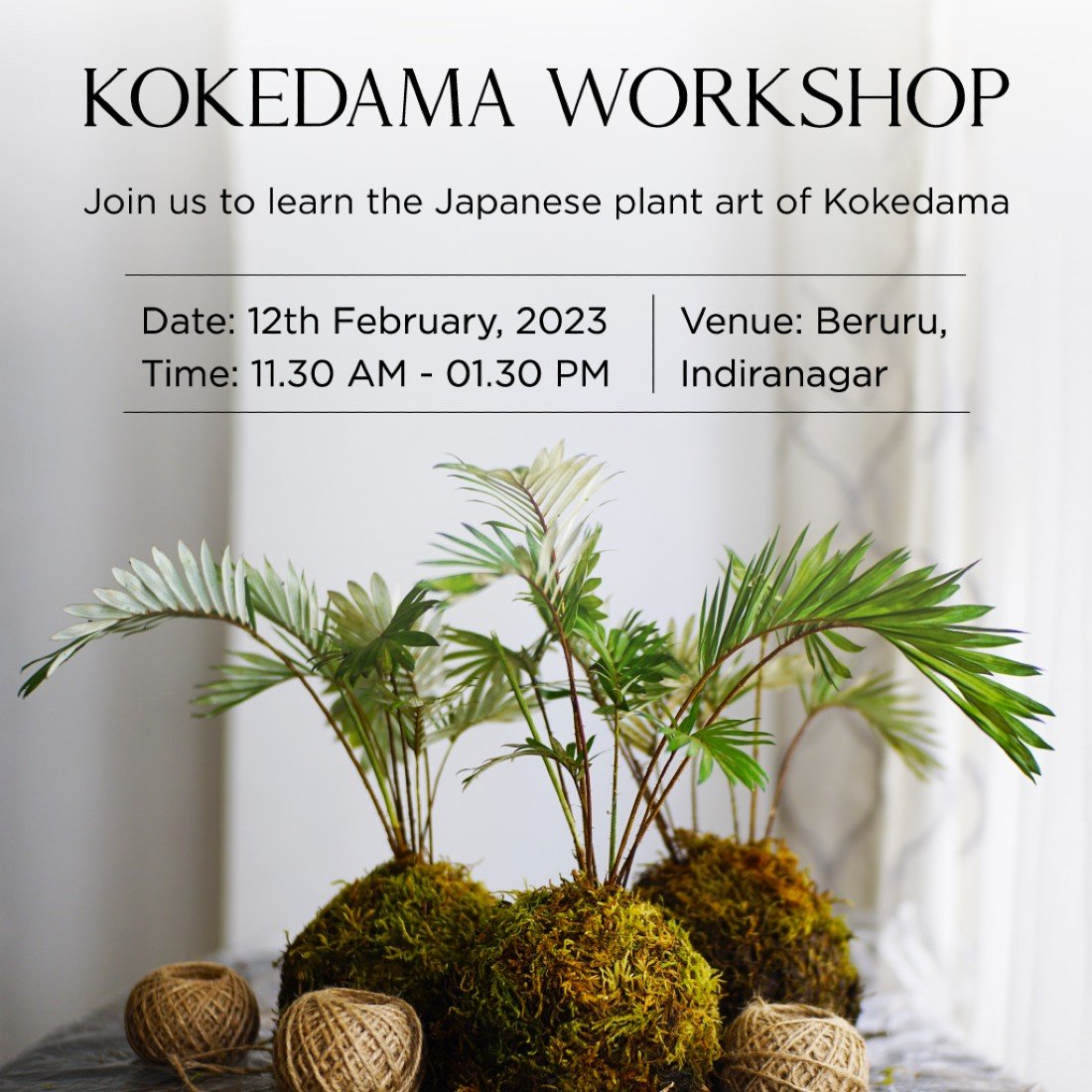 Kokedama Plant Art Beruru Garden, Planter & Outdoor