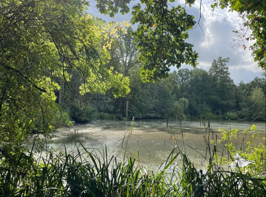 Rewilding at The Aldenham Estate, Home Farm Glamping, Borehamwood