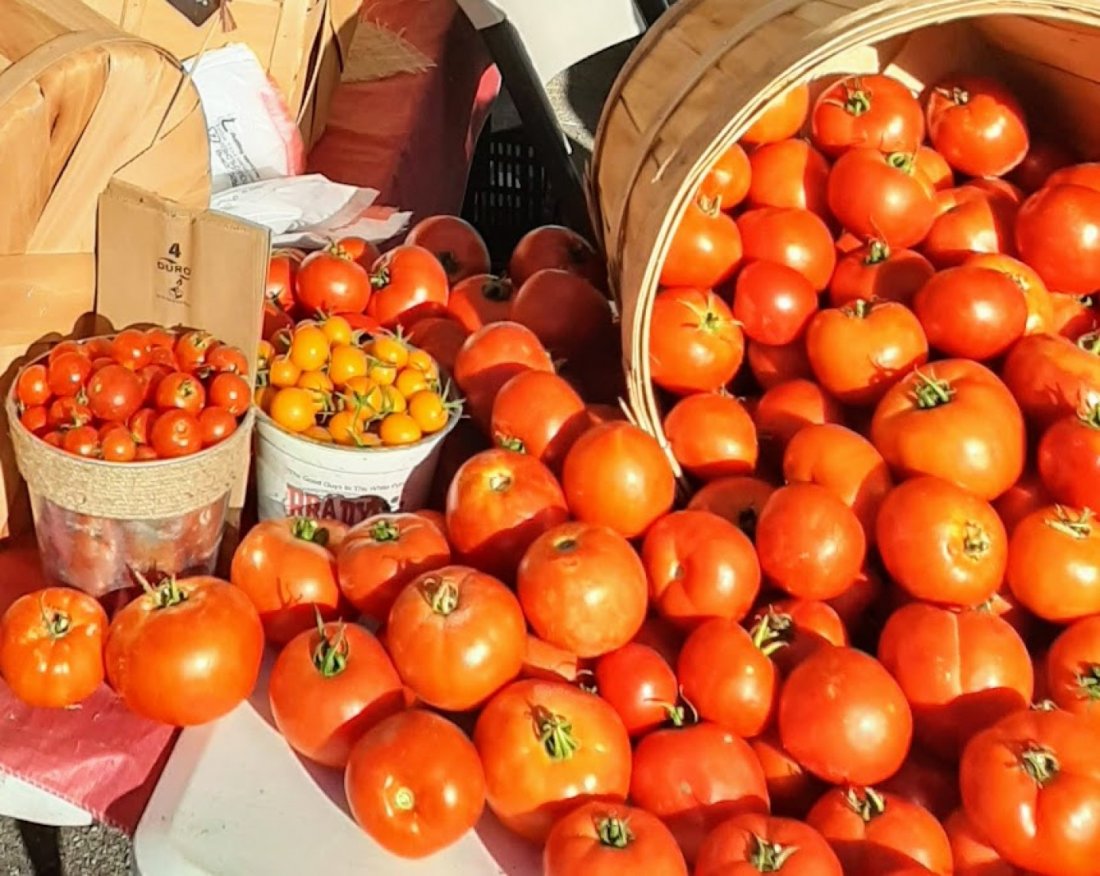 Salsa Days at the Portneuf Valley Farmers Market, 435 W Center St
