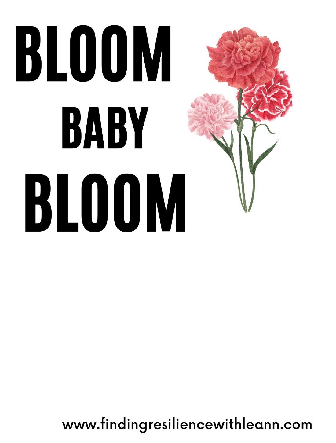 Bloom Baby Bloom, Finding Resilience with Leann, Albuquerque, NM, 9