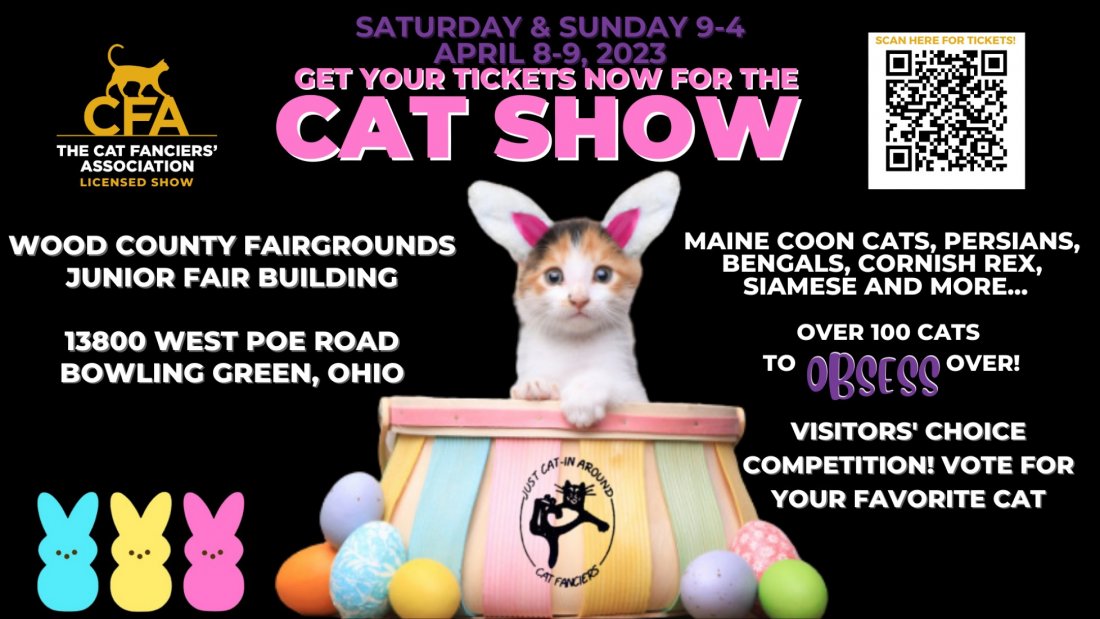 Come visit the Bowling Green, OH Cat Show, Wood County Fairgrounds Jr