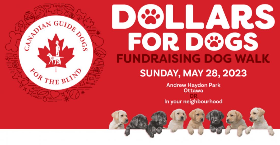 39th Annual Dollars for Dogs, Andrew Haydon Park, Nepean, 28 May 2023