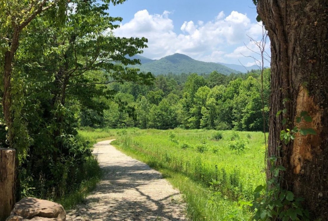 Mainspring Meanders Queen Branch Preserve, Queen Branch Preserve