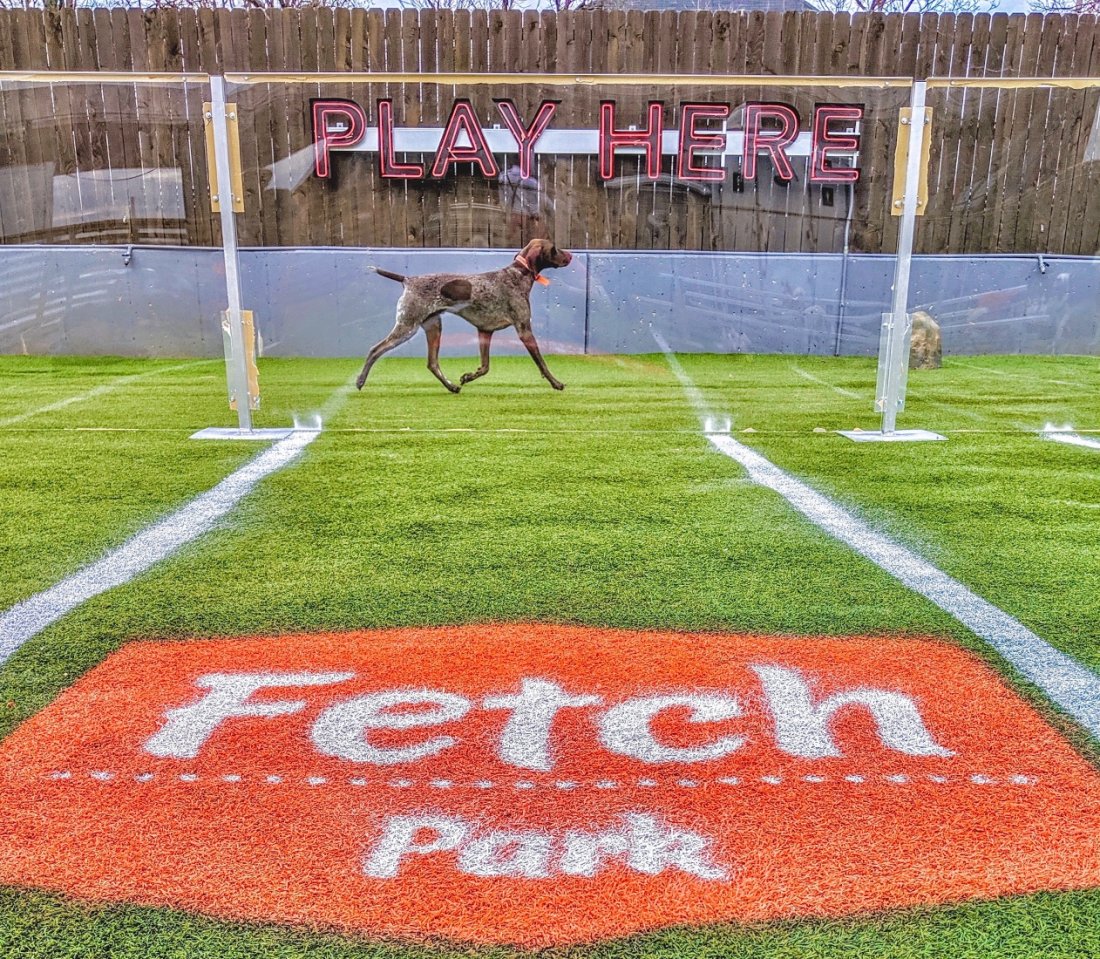 Dogsters And Fetch Celebrate Dog Moms This Mother s Day Fetch Park Dogsters And Fetch Celebrate Dog Moms This Mother s Day Fetch Park