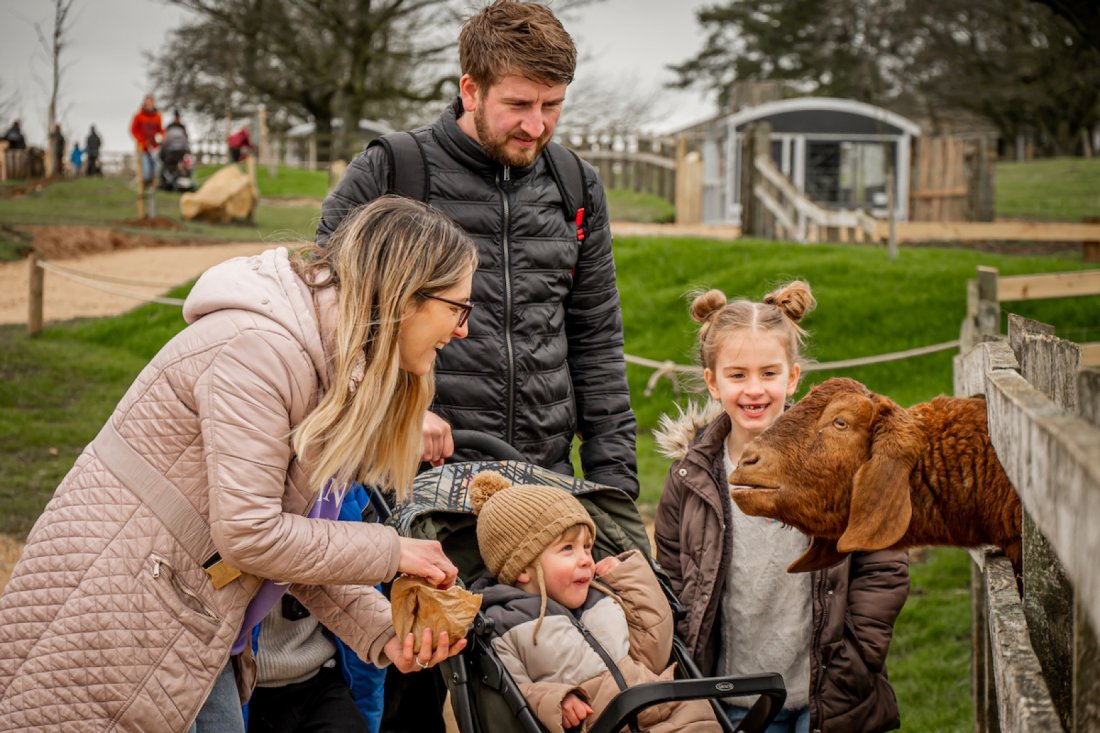 May Half Term at Cotswold Farm Park, Cotswold Farm Park, Guiting Power, Cheltenham, UK, May 27