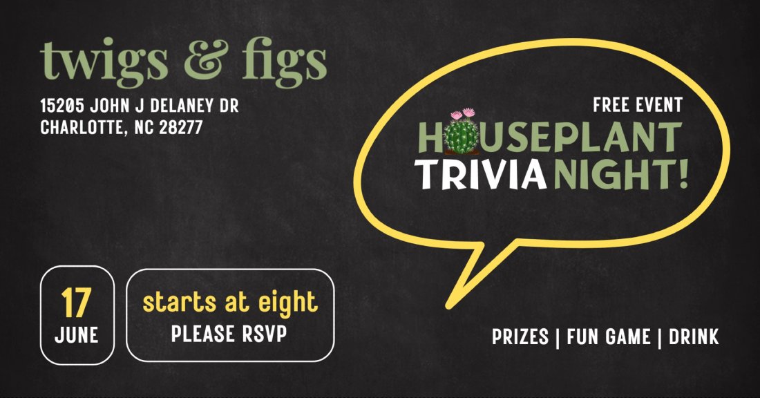 Houseplant Trivia Night (Free Event), Twigs & Figs, John J Delaney