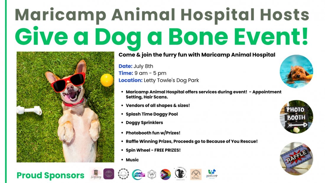 Give a Dog a Bone, Letty Towle's Dog Park, Ocala, 8 July 2023