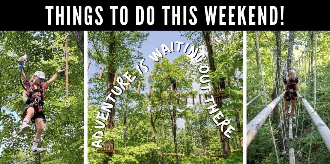 Weekend Climb, Zip, and Soar at TreEscape Aerial Adventure Park