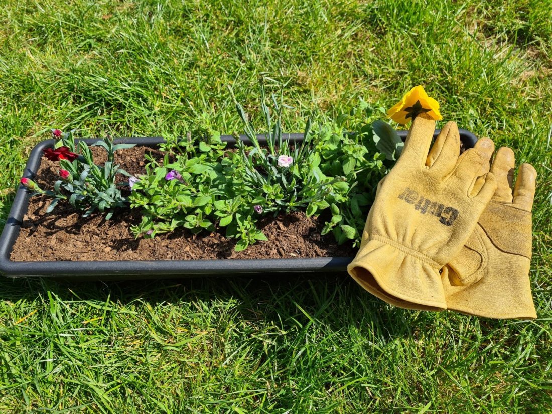 Prep Your Garden For Winter At Elgin Community College September 28