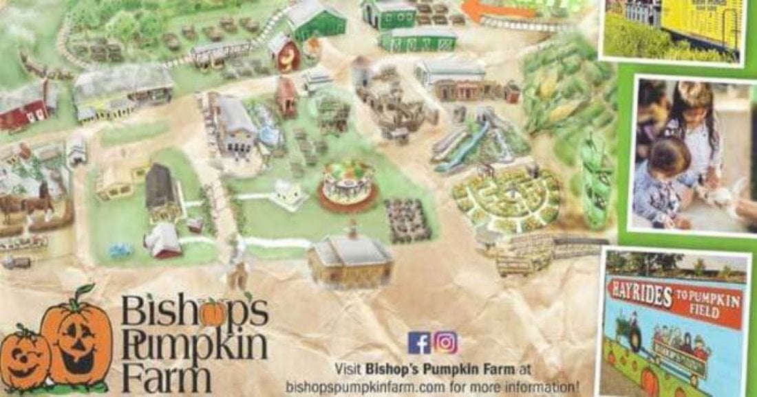 Pumpkin Farm 2023, 1415 PUMPKIN LANE , WHEATLAND, CA 95692