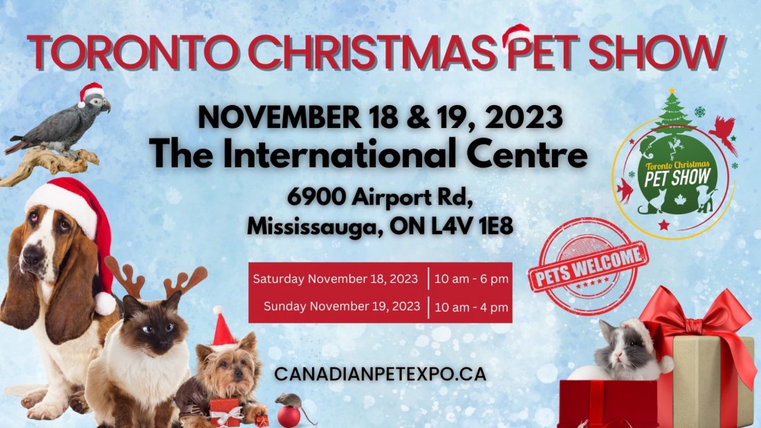 Toronto Christmas Pet Show, The International Centre, Etobicoke, 18
