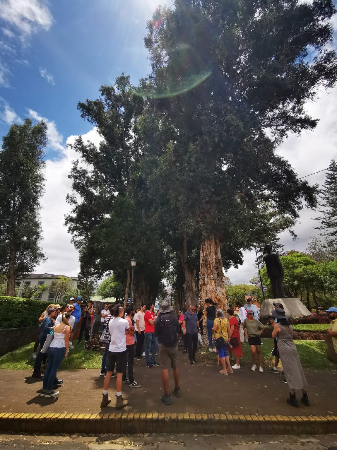 Safari de Domingo: Aves e Historias de San José, 14 December | Event in San Jose | AllEvents