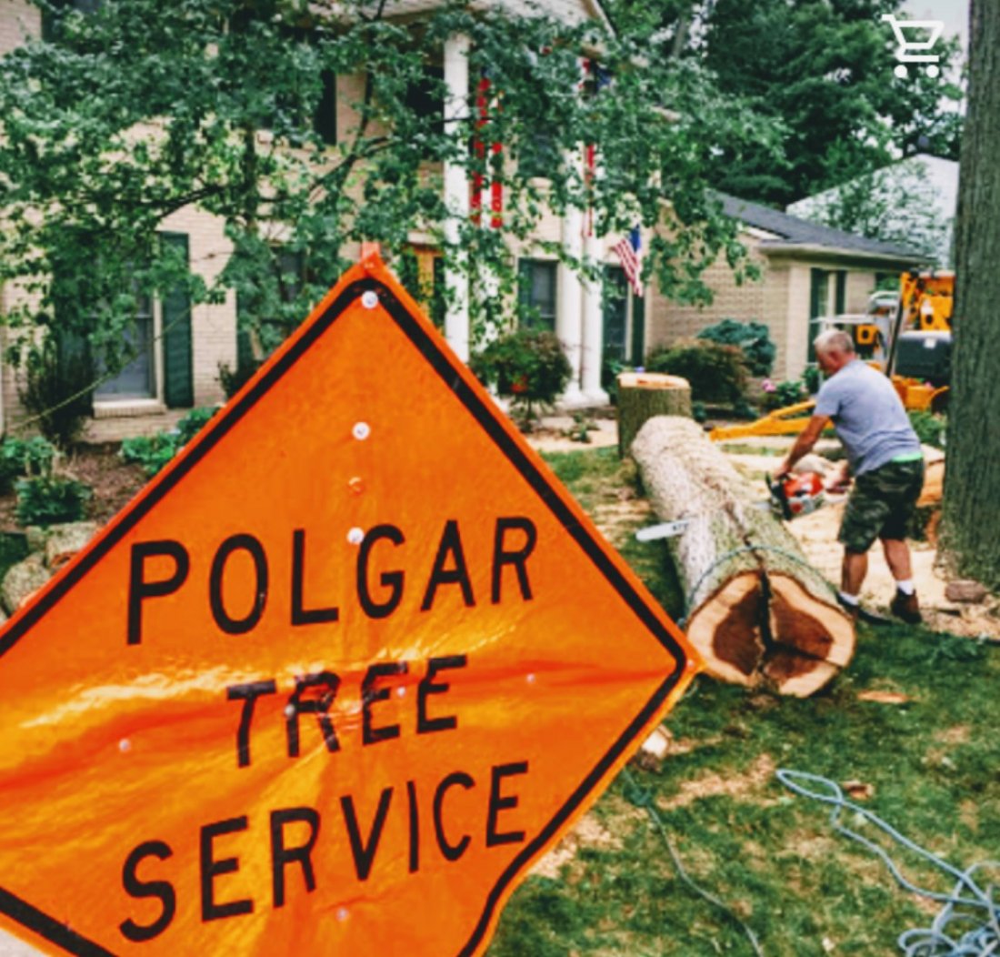 Tree Service near me Tickets, Starbucks, North Old Woodward Avenue