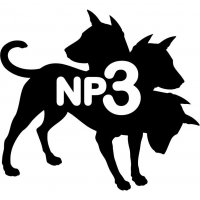 NP3 logo