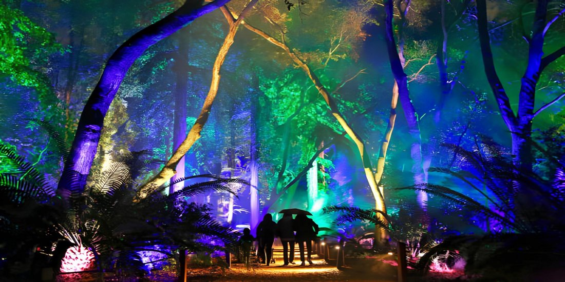 Enchanted Forest of Light 2025 | Event in La Canada Flintridge | AllEvents