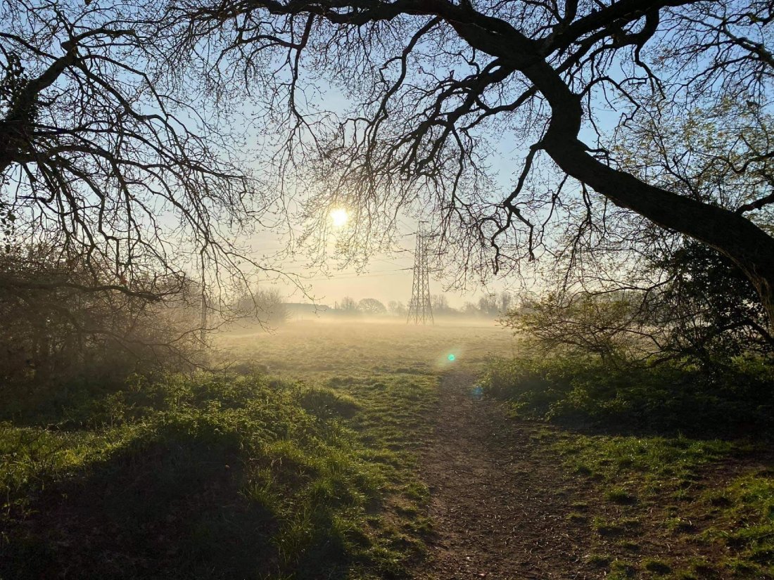 Biodiversity Net Gain, Local Authoritiy Planning and Rare Habitats ...