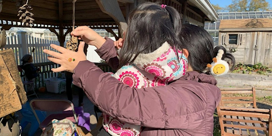 June Garden Buds Blossoms & Berries, Queens Botanical Garden, Flushing