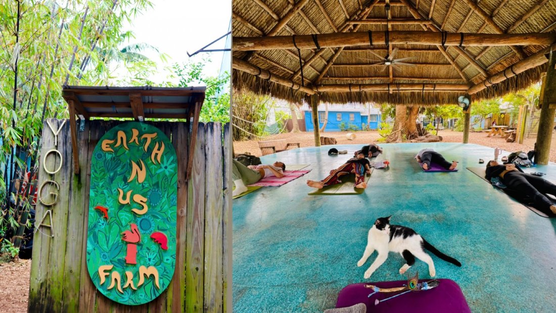 yin-yoga-in-nature-earth-n-us-farm-miami-17-august-2024