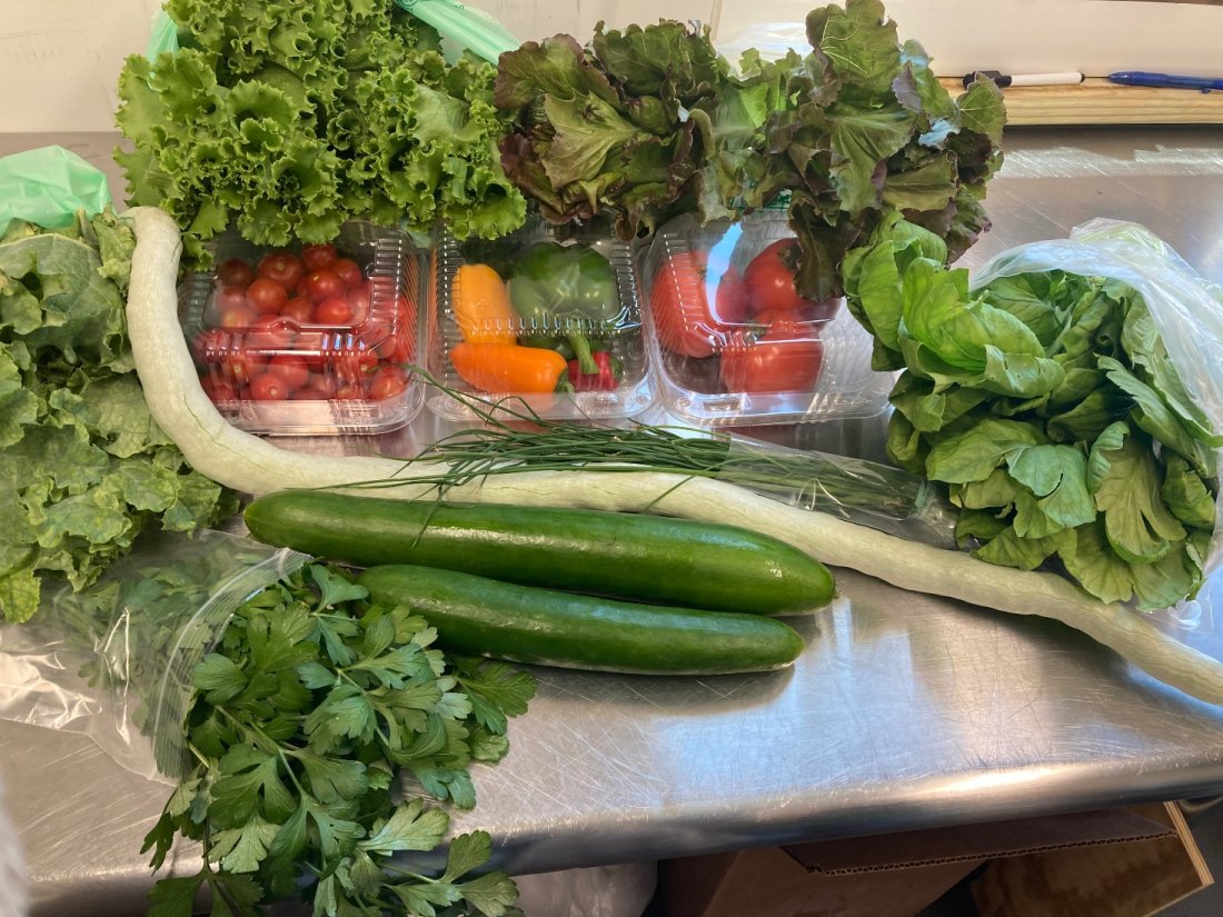 Sullivan Road Farm Tour, Sullivan Road Farms, Minneola, February 17