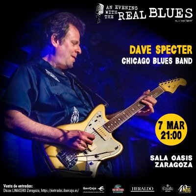 DAVE SPECTER Chicago Blues Band