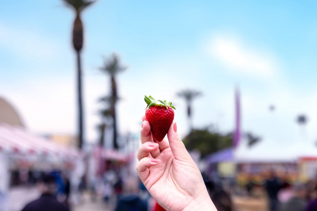 38th Annual California Strawberry Festival, Ventura County Fairgrounds, 18 May to 19 May