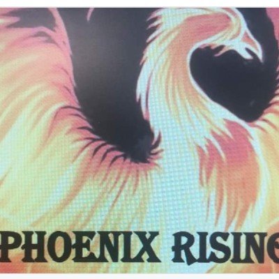 Phoenix Rising live music Tickets, The Airman, Feltham, 15 March 2024 ...