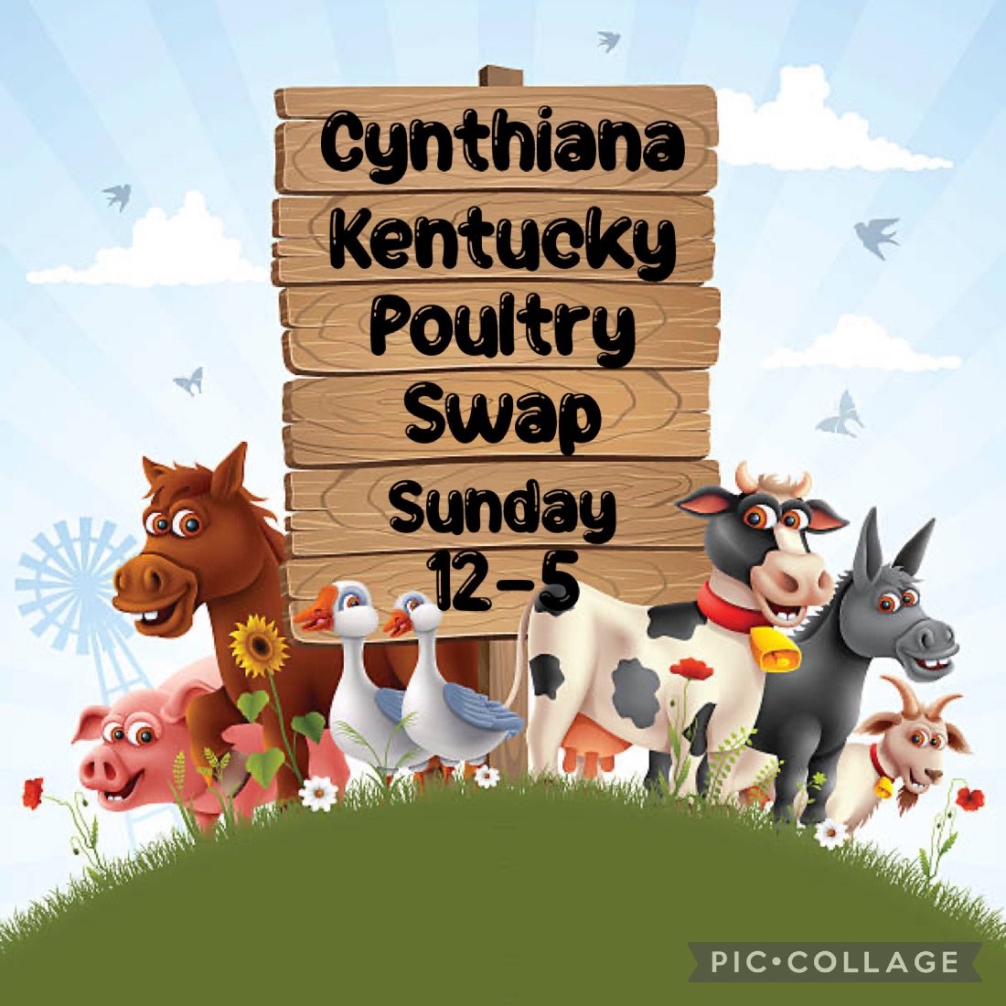 Cynthiana Kentucky poultry swap, Rent a center, Cynthiana, 7 April 2024