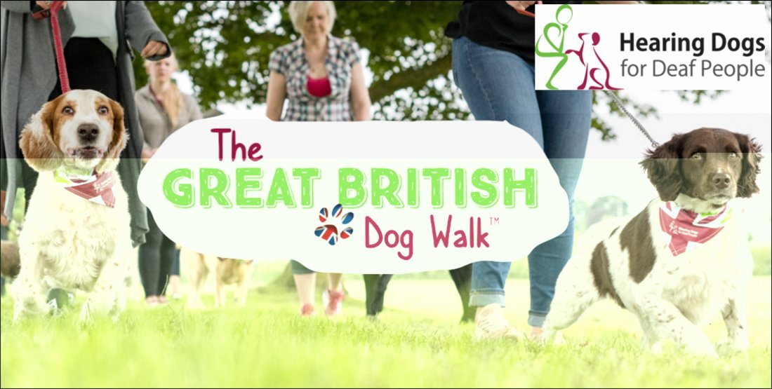 Great British Dog Walk for Hearing Dogs - Askham Bryan, York, Askham Bryan  College, York, 13 April 2024 | AllEvents.in