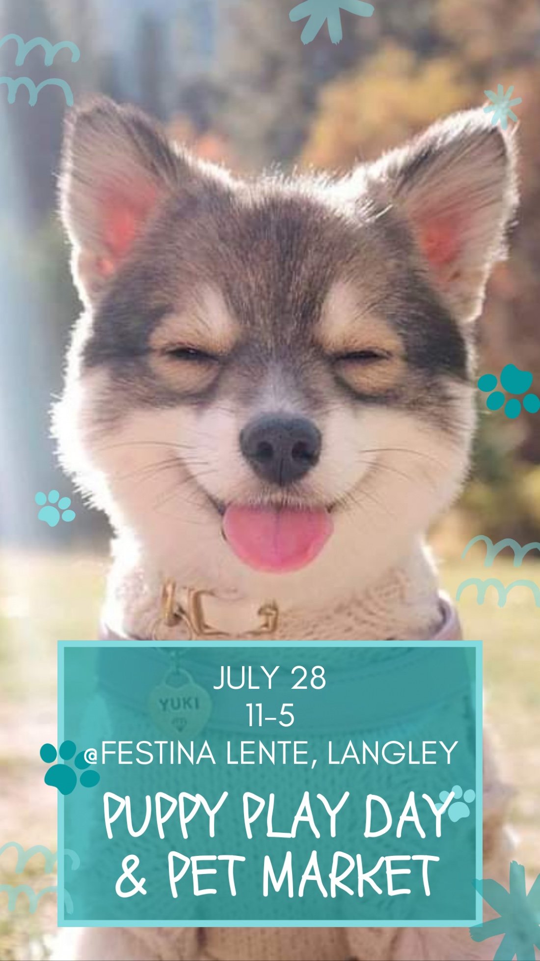 Puppy Day & Pet Market, Festina Lente Estate Winery and Meadery