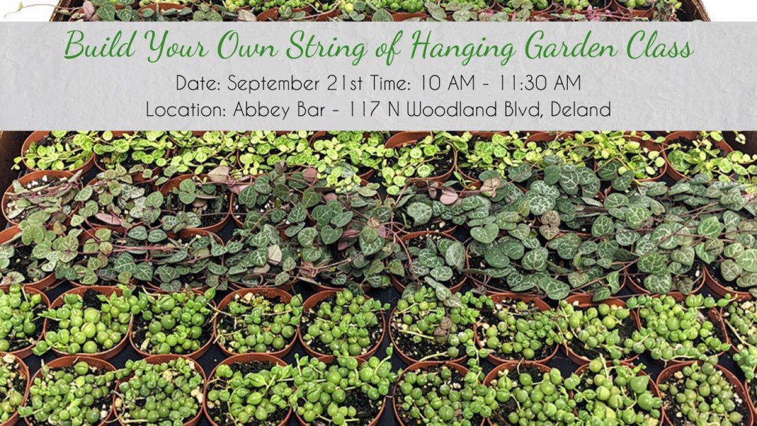 Events & Things To Do In Winter Springs on 1st July 2024