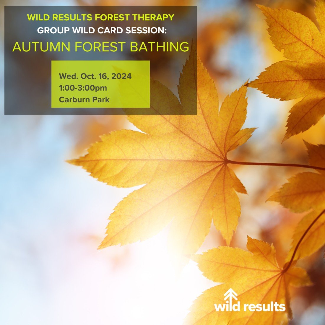 Autumn Forest Bathing Tickets, Carburn Park, Calgary, 16 October 2024