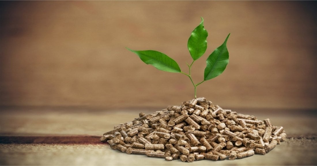 International Conference on Biomass, 25 September | Event in Vienna | AllEvents