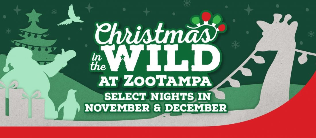 Christmas in the Wild at ZooTampa 2024, ZooTampa at Lowry Park, 2 ...
