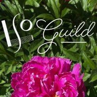 LSO Guild