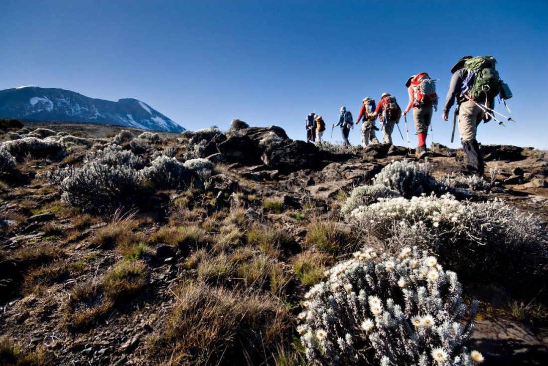 6 Days Mount Kilimanjaro Climbing Marangu Route, 24 December | Event in Arusha | AllEvents