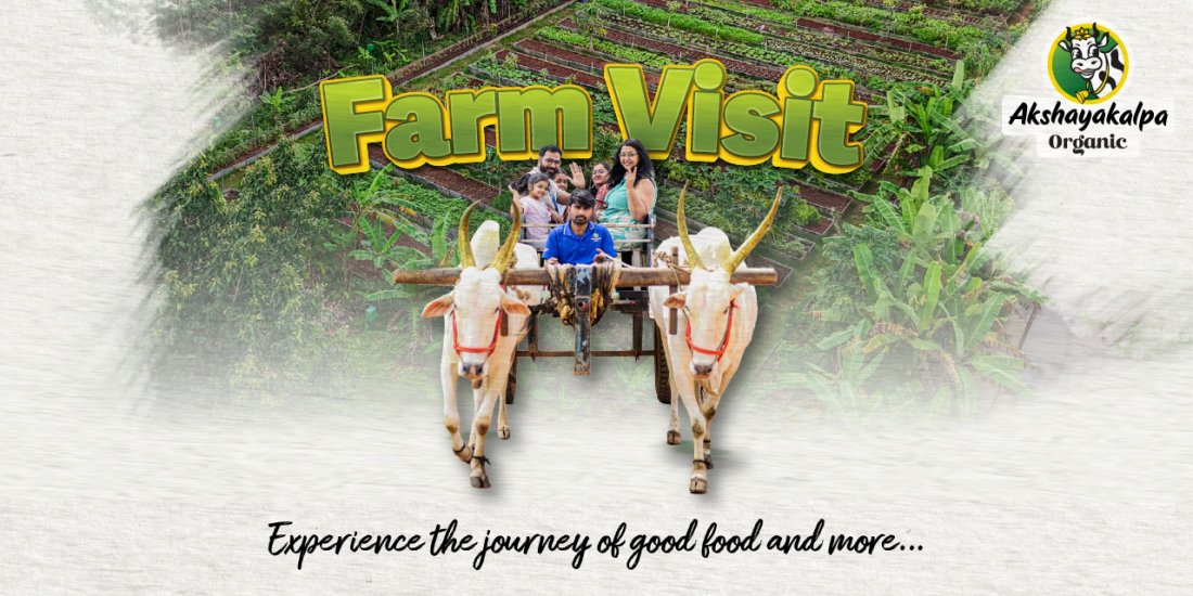 Akshayakalpa Organic Farm Visit (Bangalore) | Event in Hassan | AllEvents