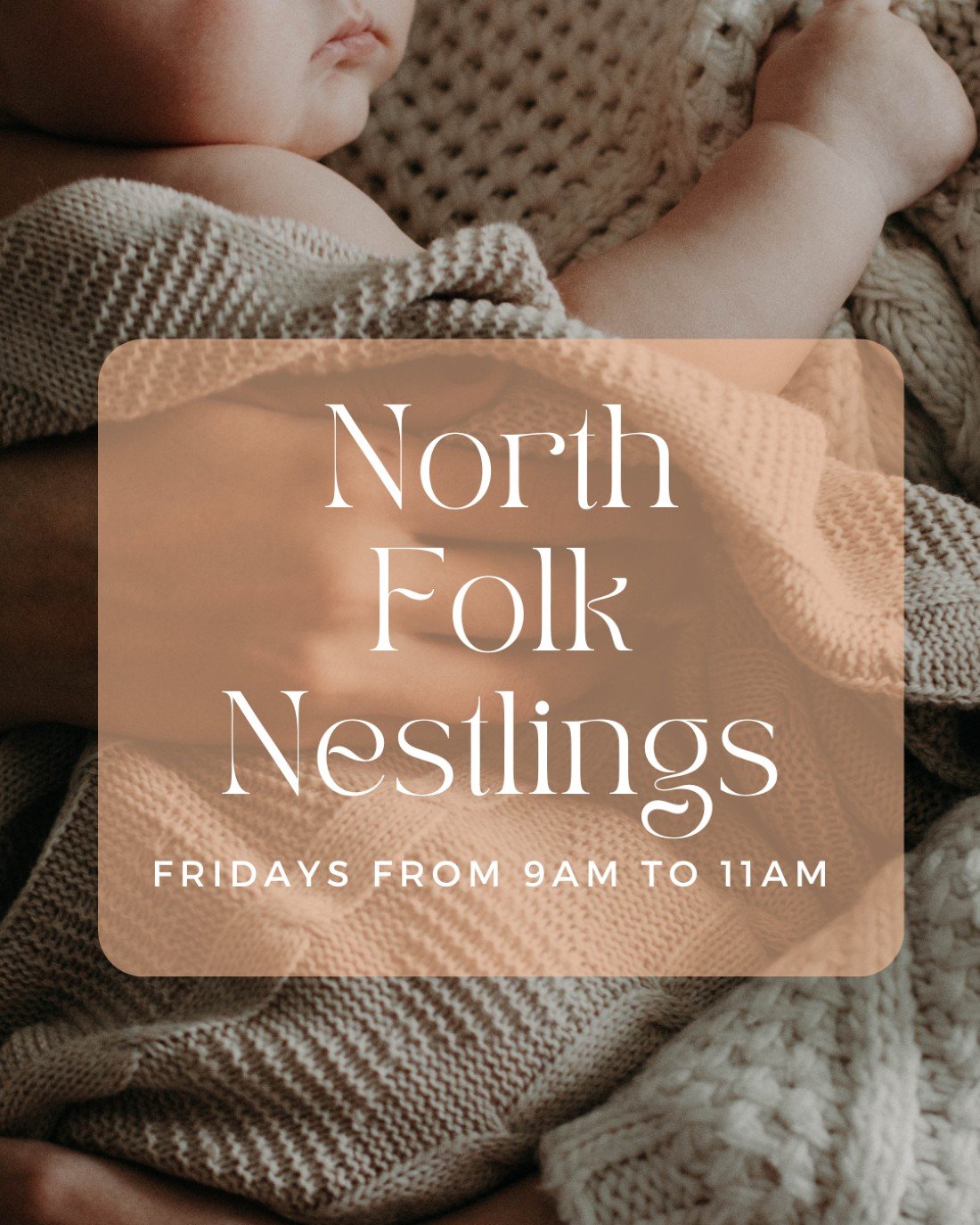 North Folk Nestlings | Event in Perth | AllEvents